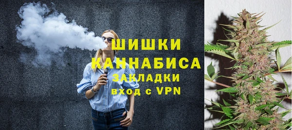 мдпв Бронницы