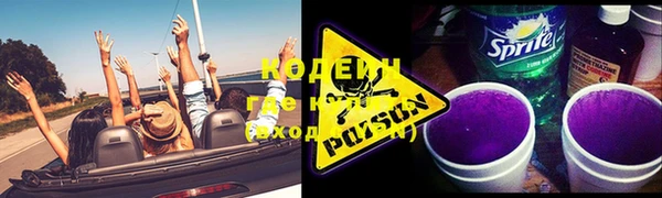 прущие грибы Верея