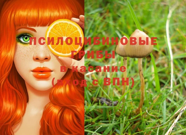 мдпв Бронницы