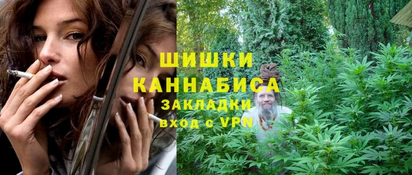 прущие грибы Верея